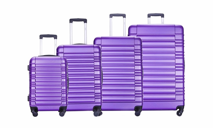 hazlo luggage