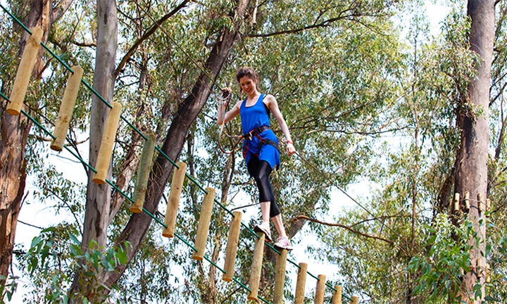 Hyperli Entrance To Monkey Moves Green Course For Up To Four